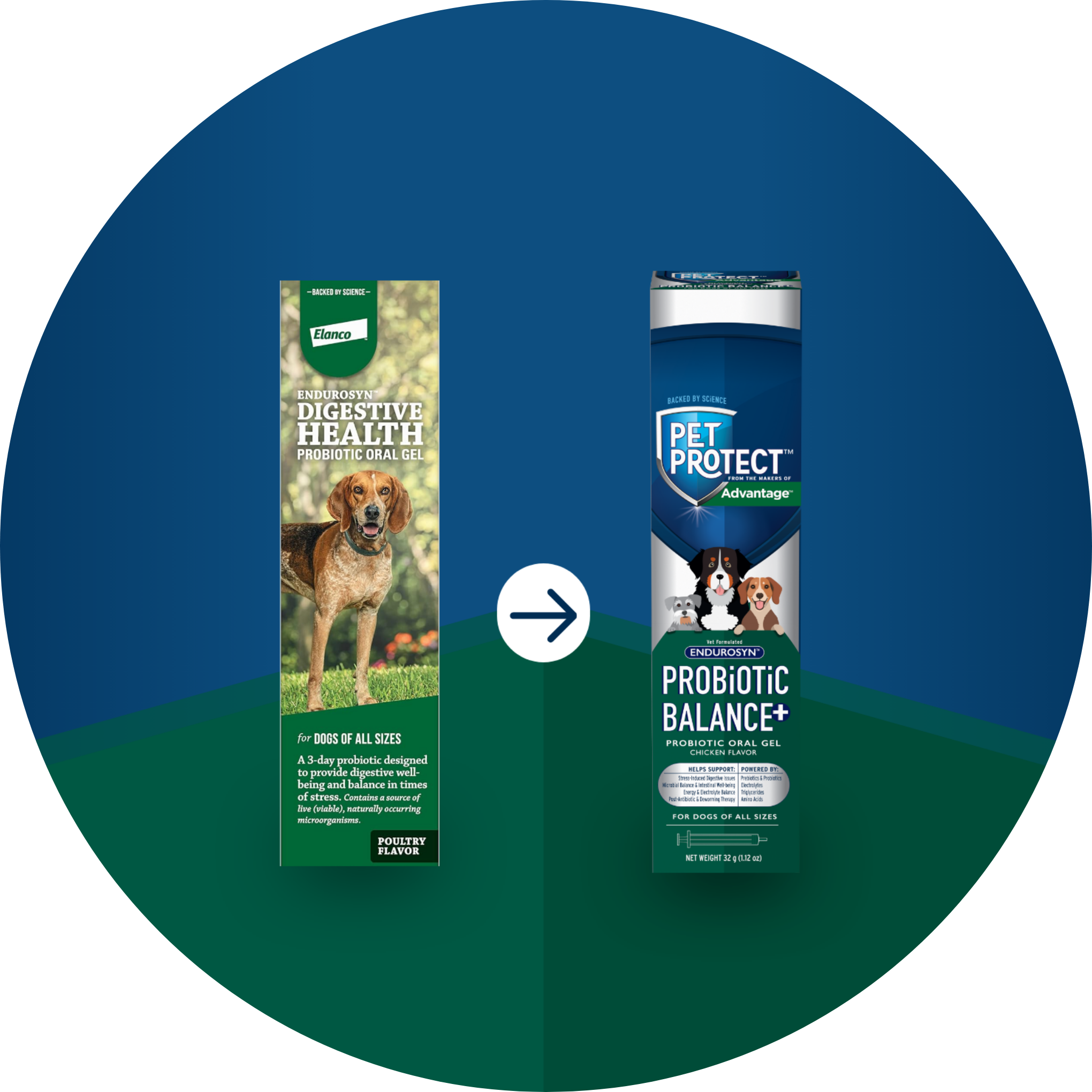Pet Protect™ Probiotic Balance+ Oral Gel With Vet-Formulated Endurosyn